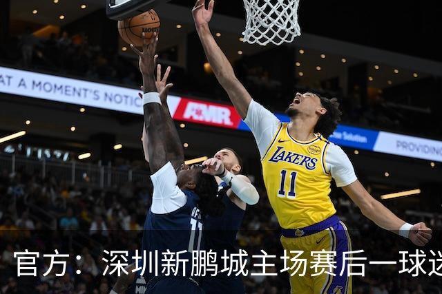 官方：深圳新鹏城主场赛后一球迷从看台跳入场内，深圳赛区被警告