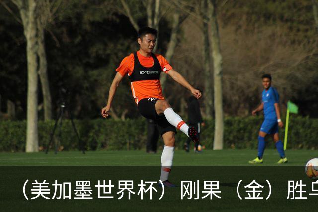 （美加墨世界杯）刚果（金）胜乌兹别克斯坦晋级 韩国无缘32强